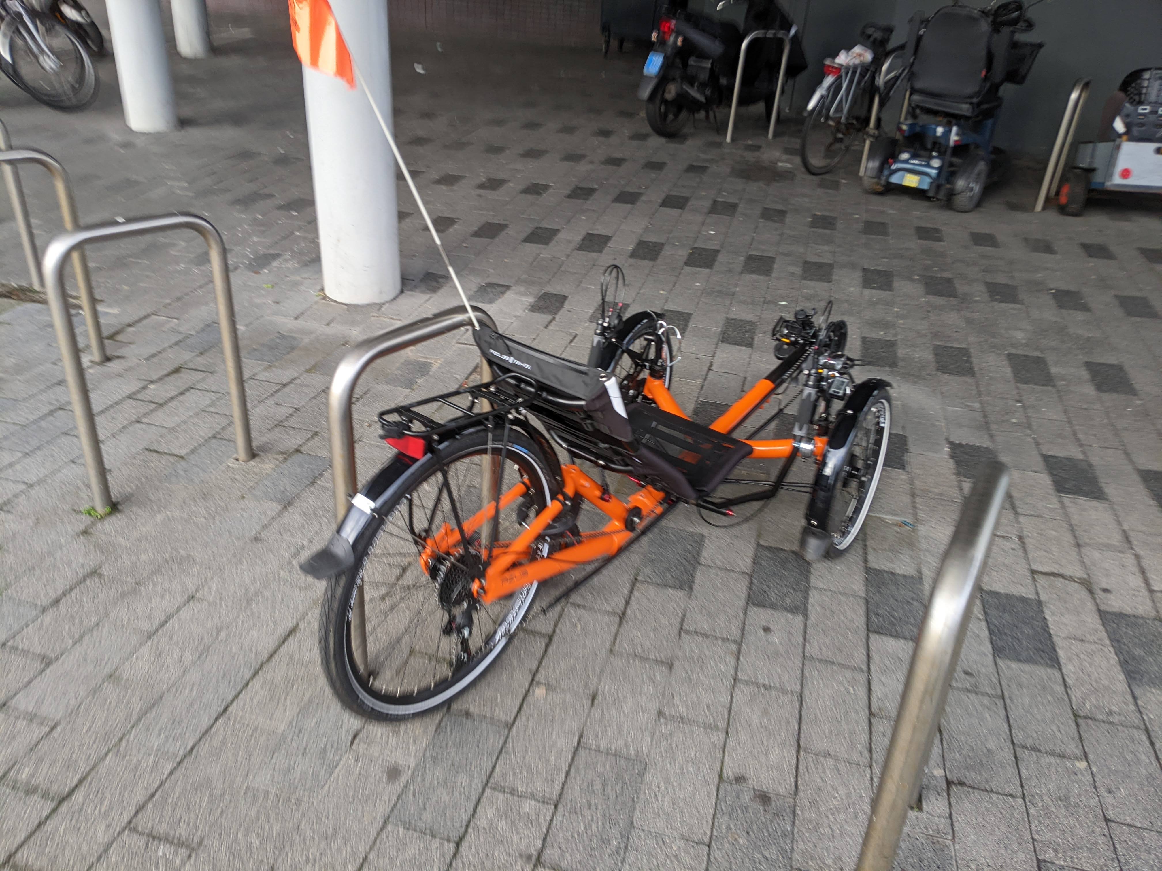 blurry picture of zoomies