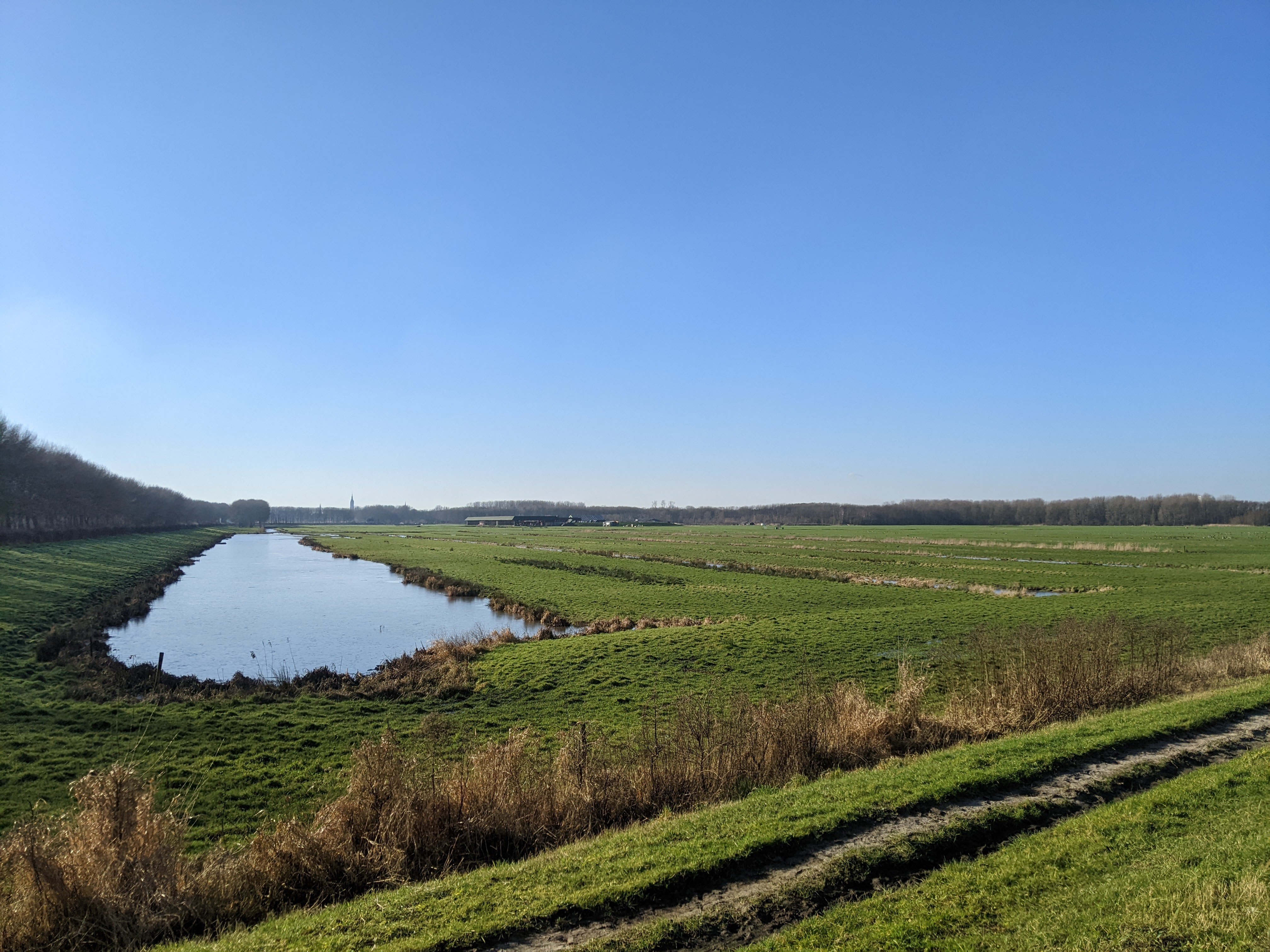 delft from the other side of Delftse Hout