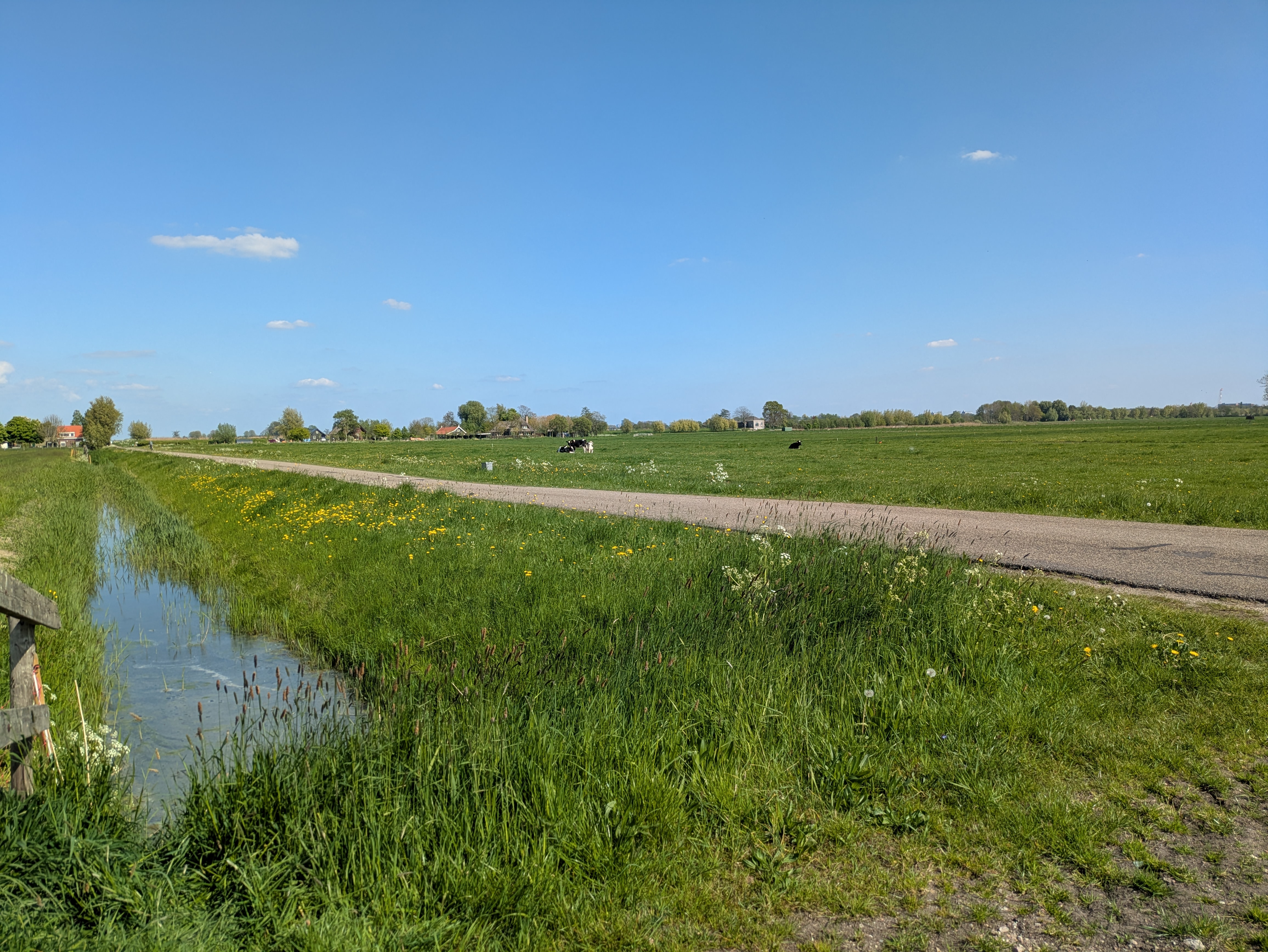 polder
