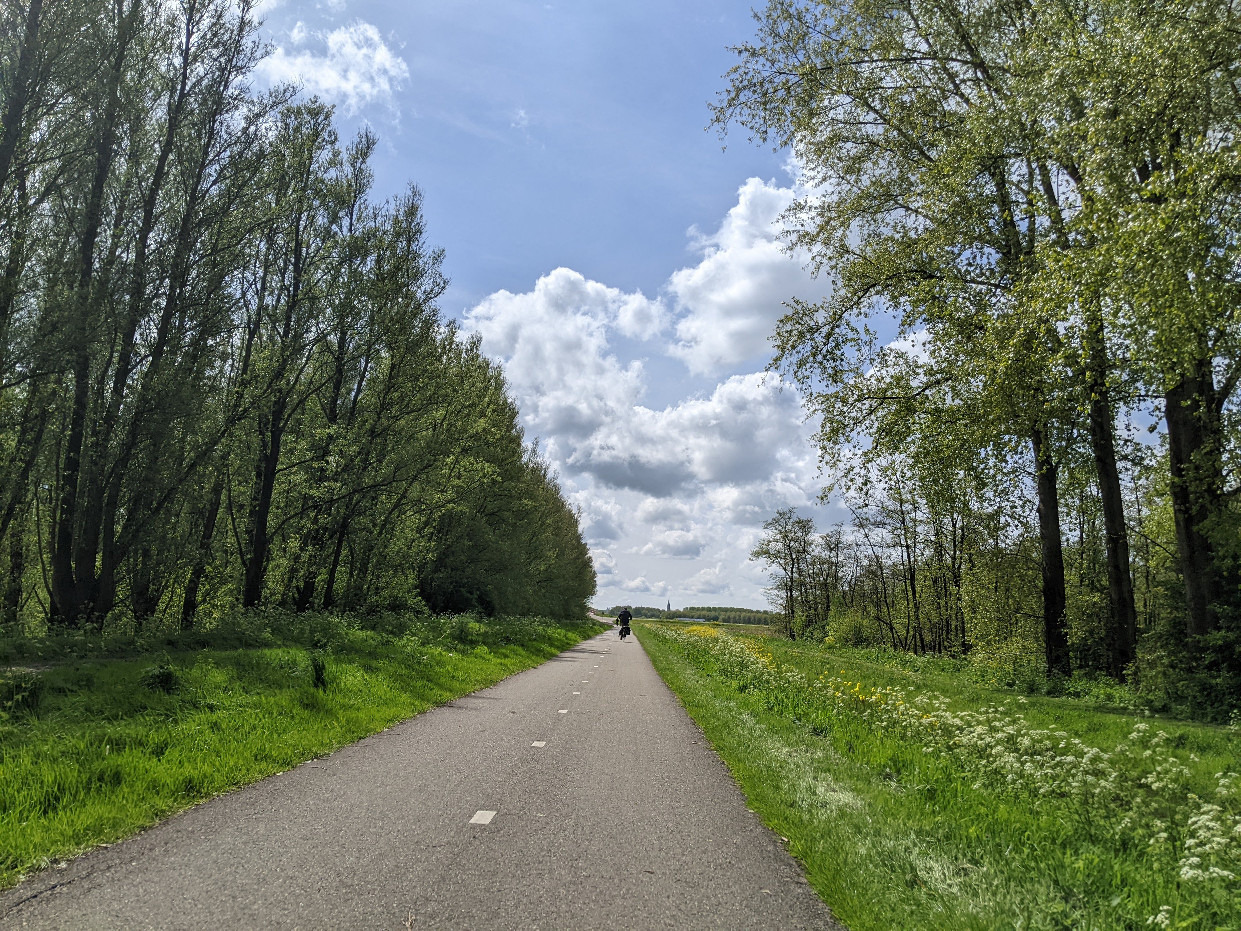 Delft in the distance