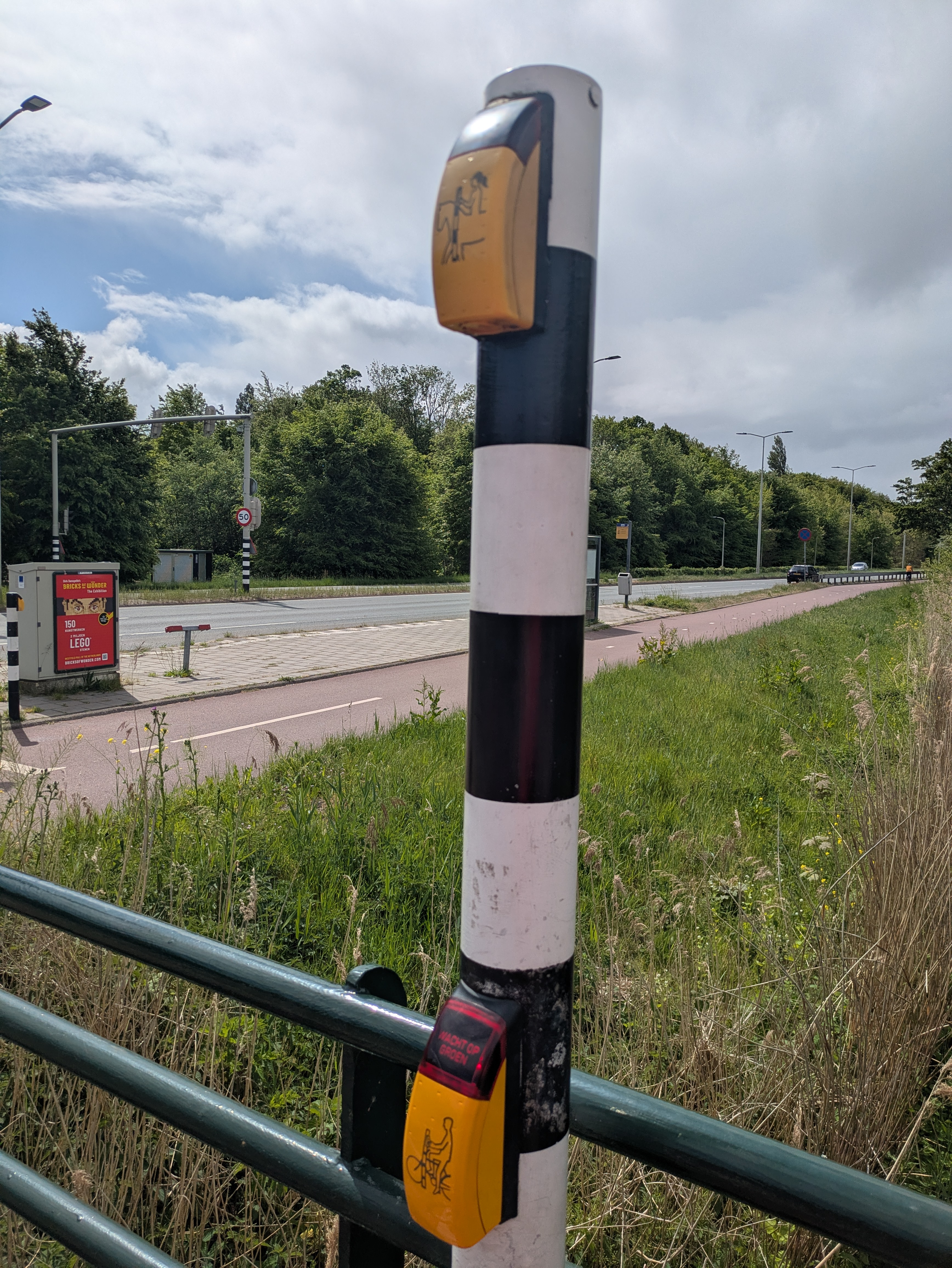 horse rider beg button