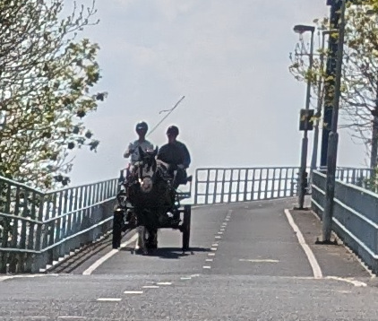 horse pulling a carriage down a bridge