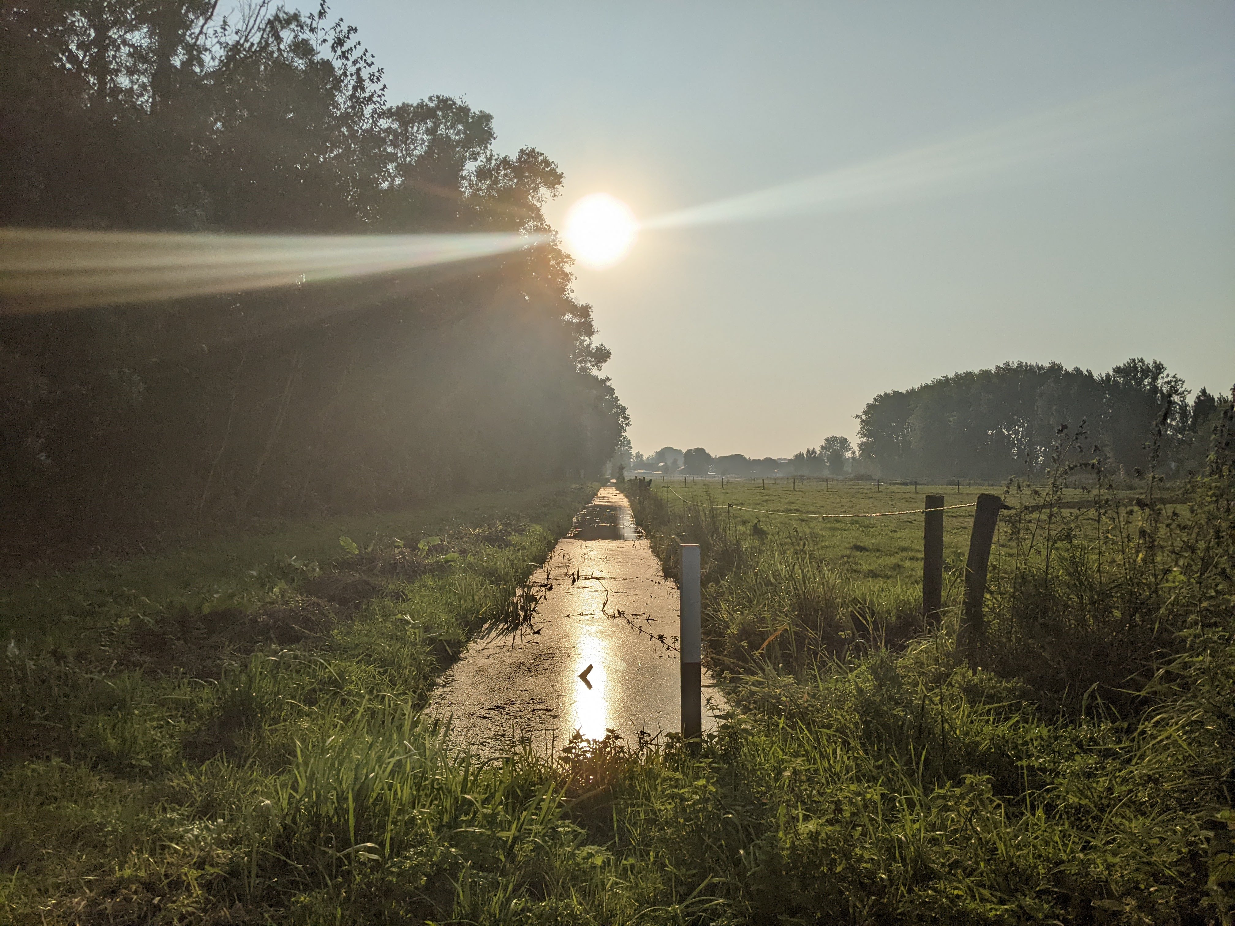 a picture I've taken before