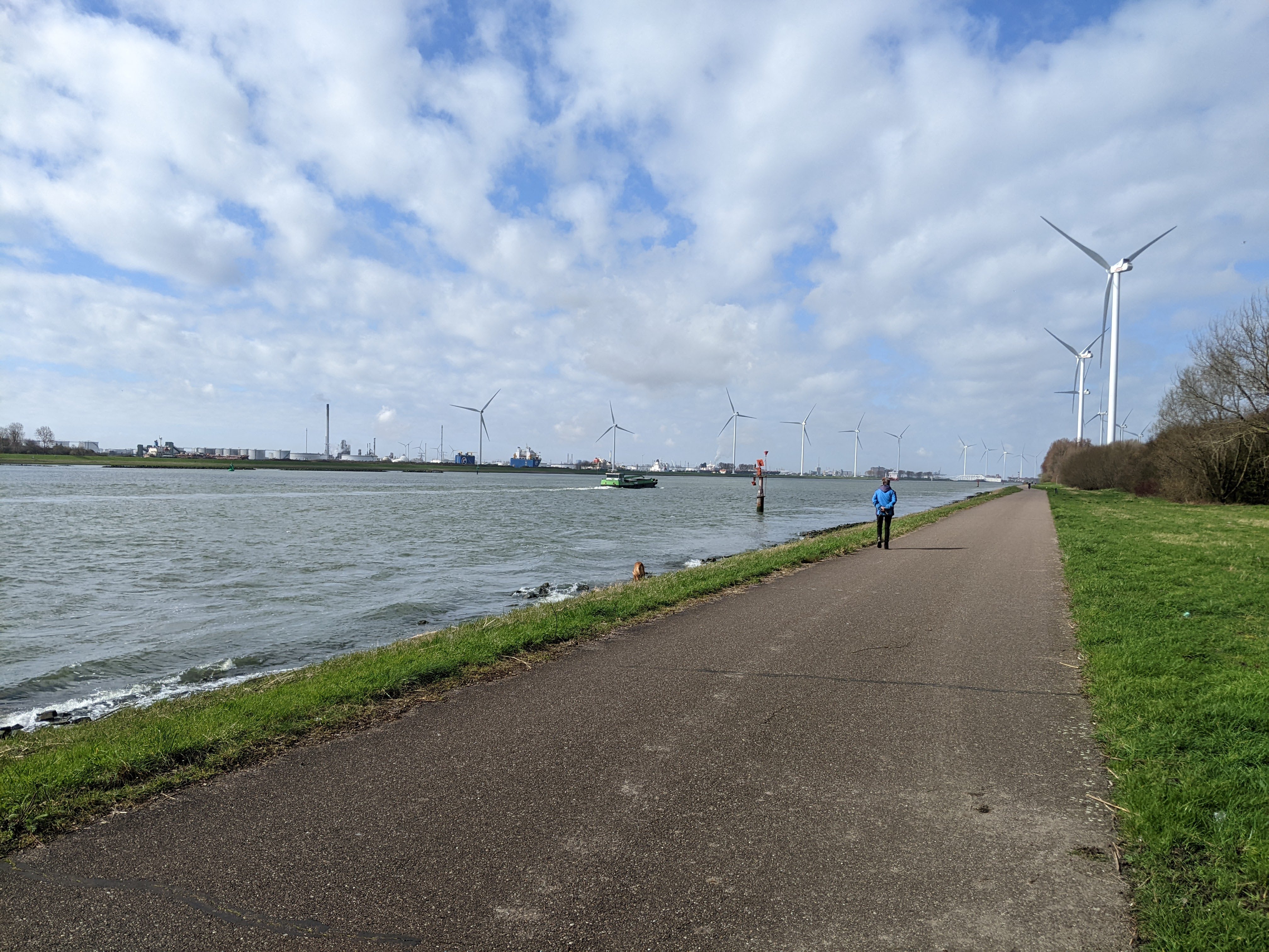 Maas, picture taken toward the North Sea