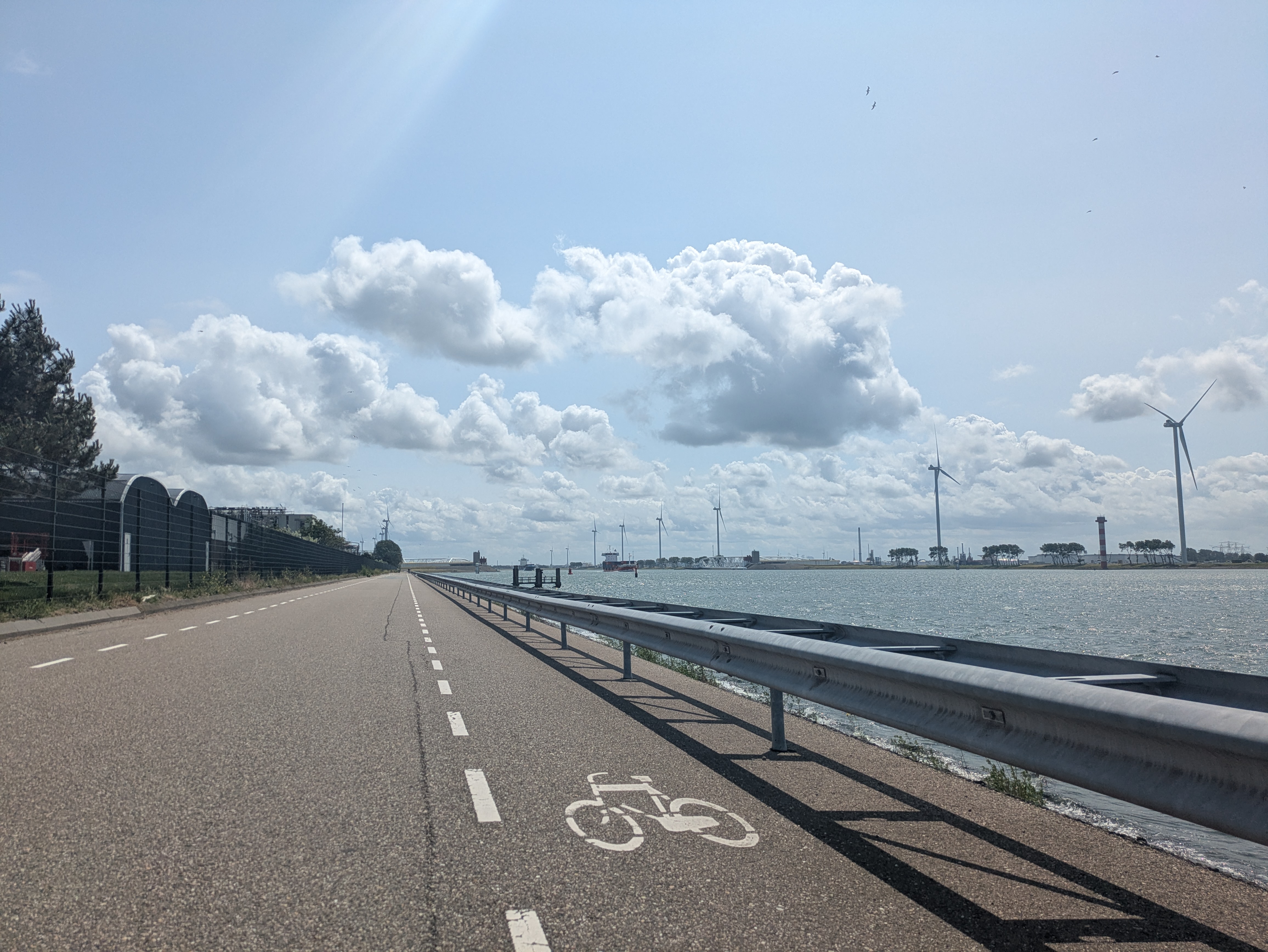 road along the maas