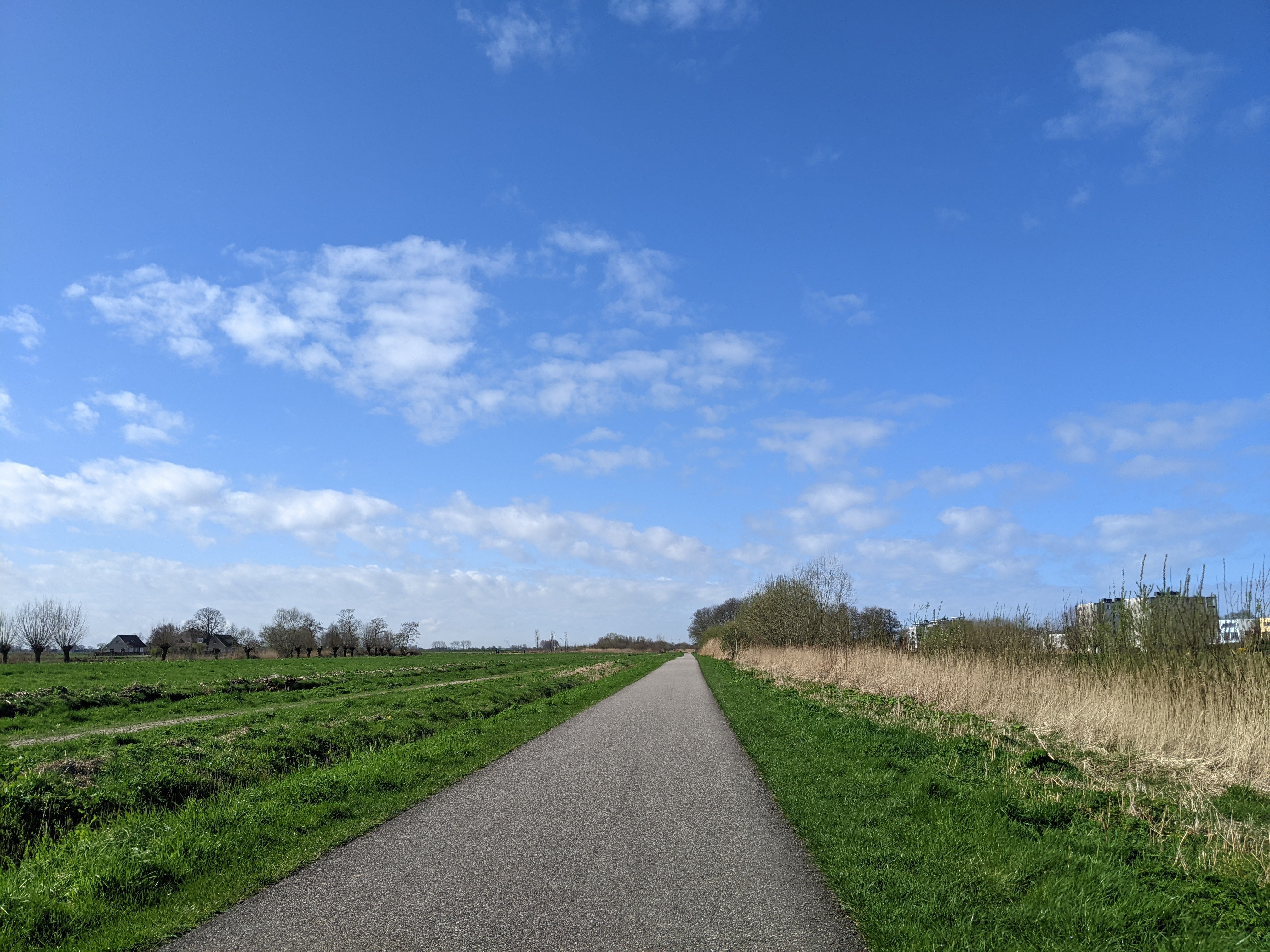 nice day in almost spring