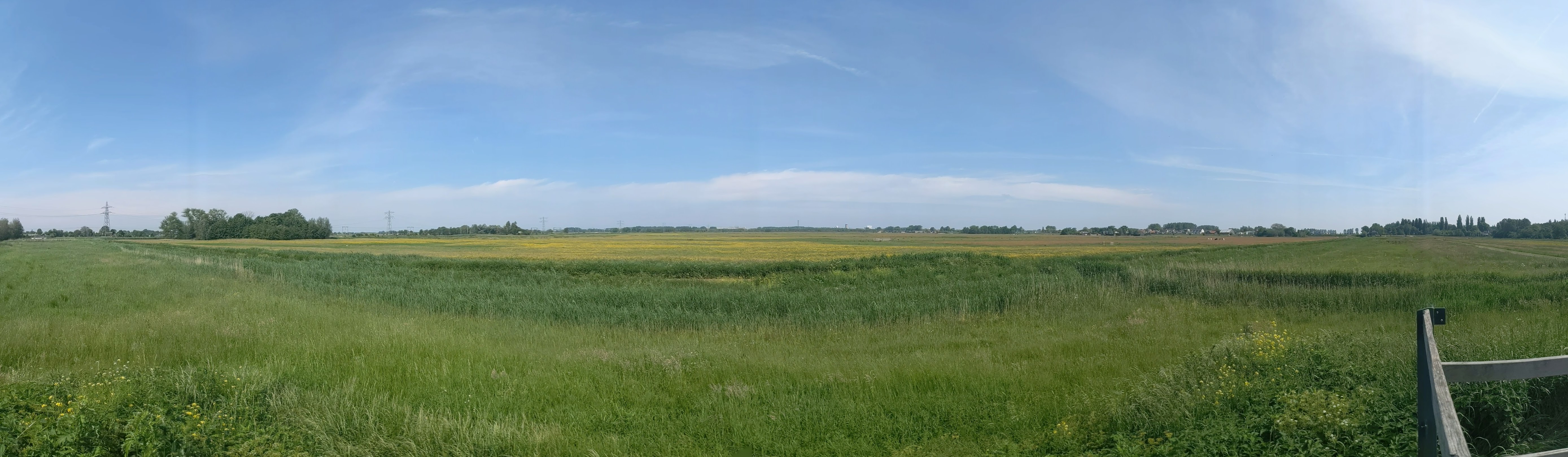 panorama of a polder