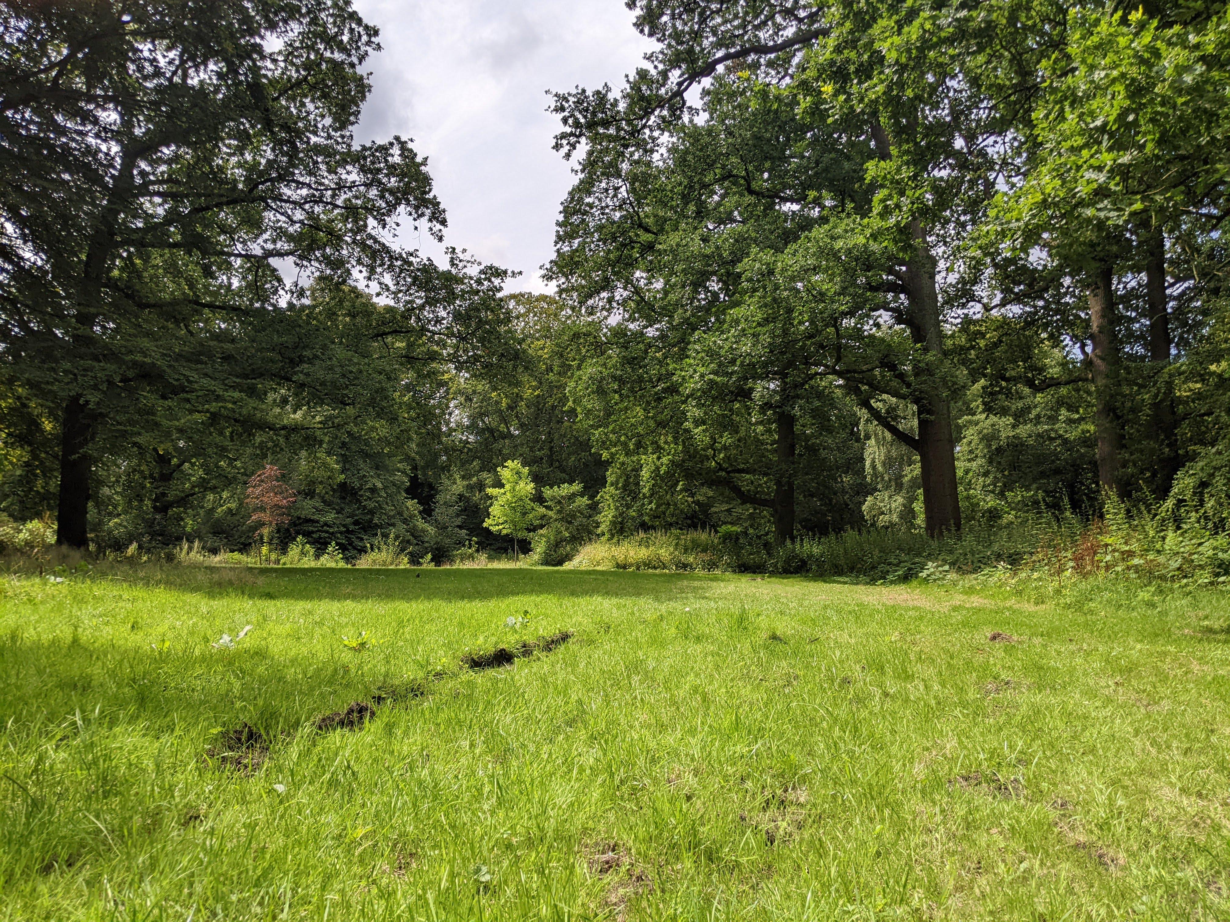 view from the picnic
