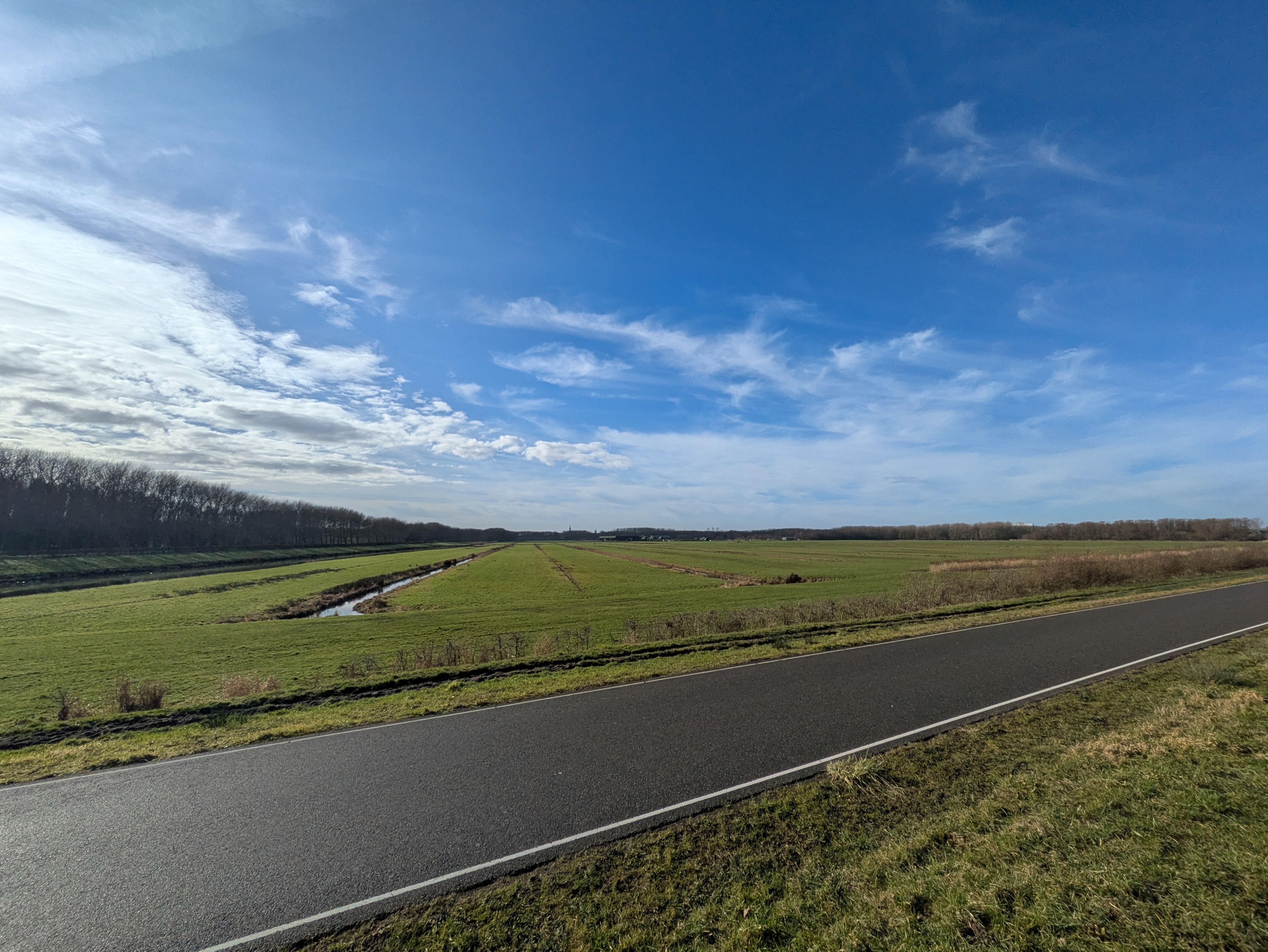 view of Delft across Bieslandse Benedenpolder