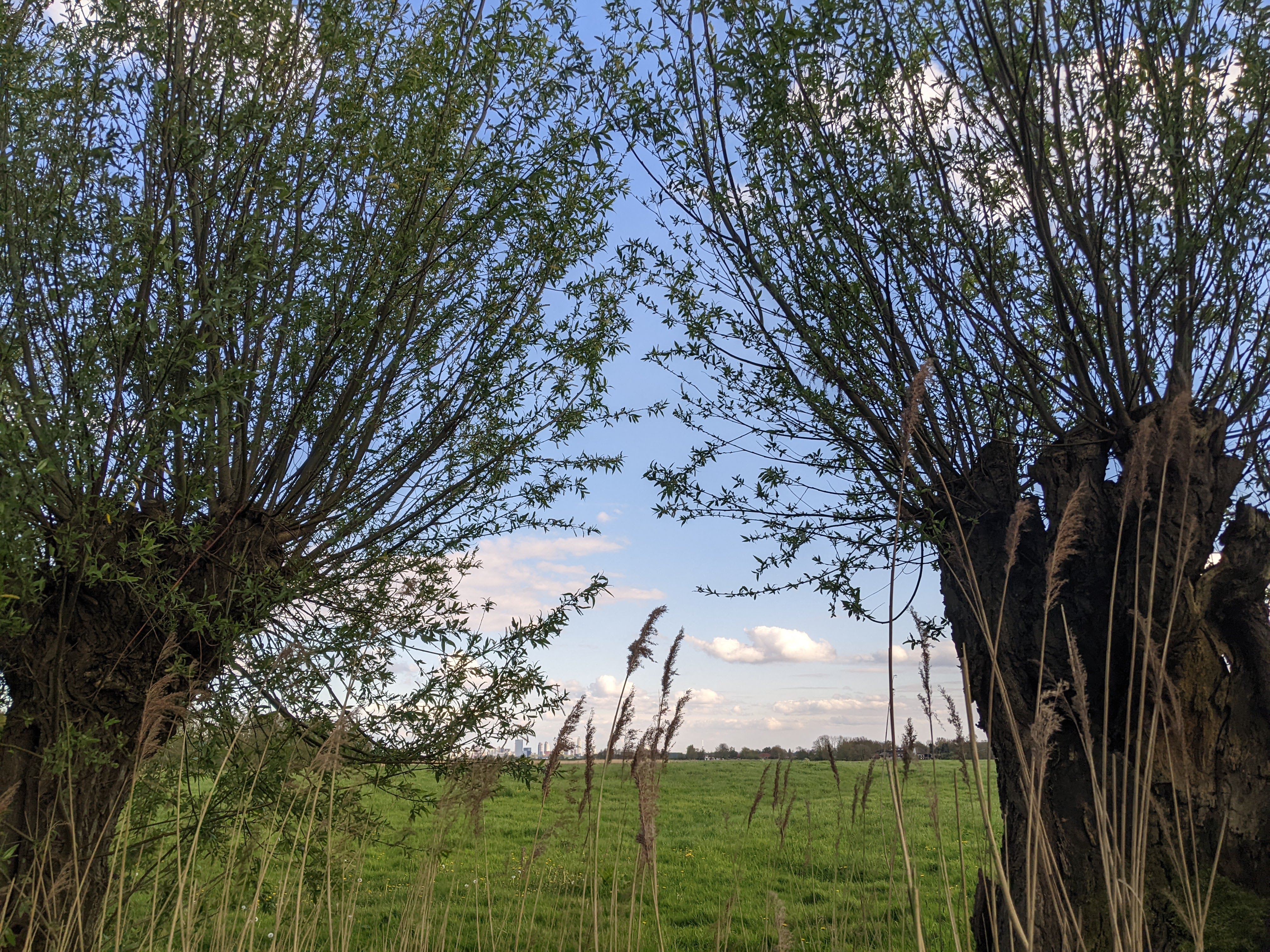 rotterdam, but very far away and through some plants
