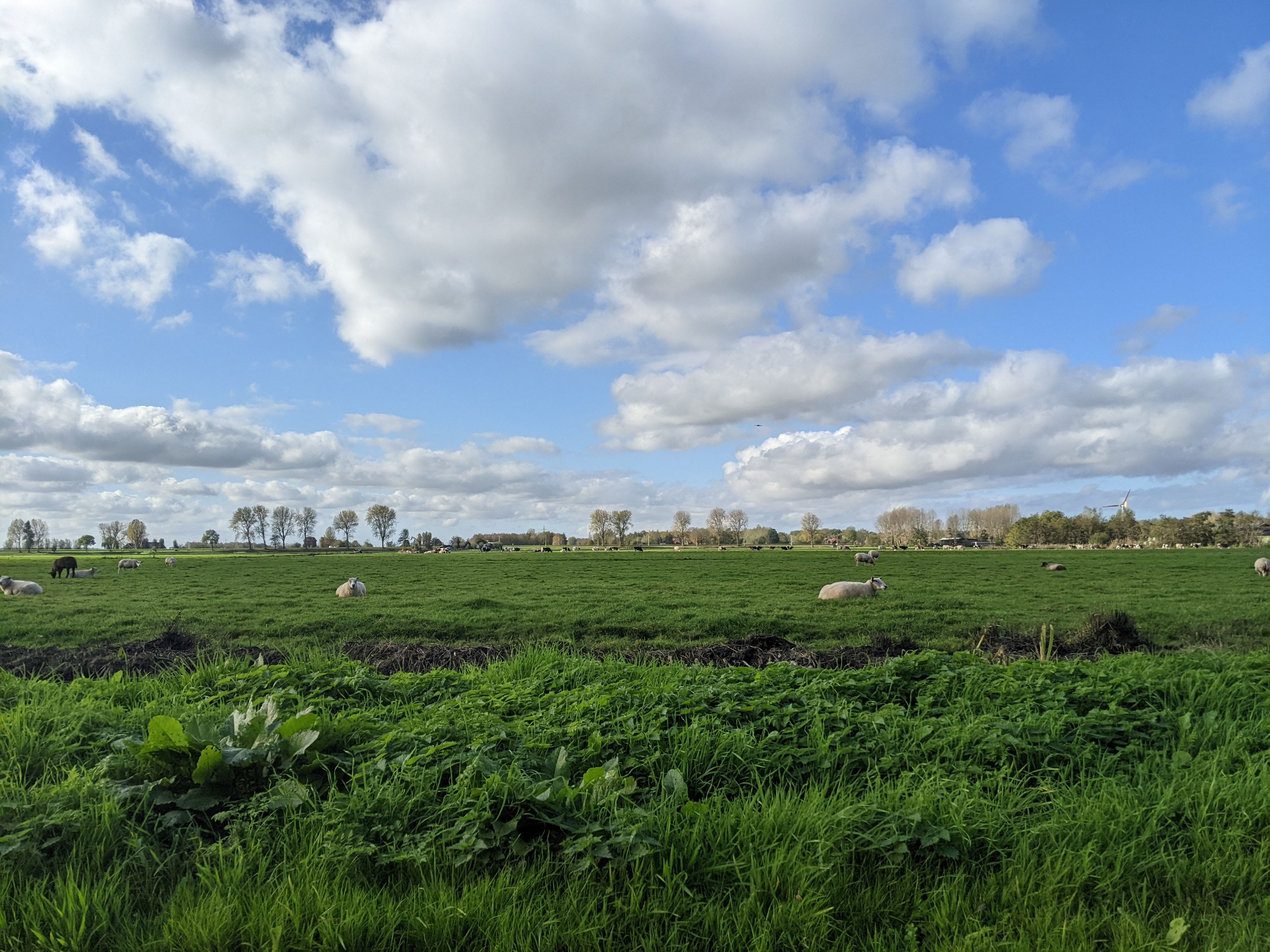 Basically the same place, but with sheep in a field