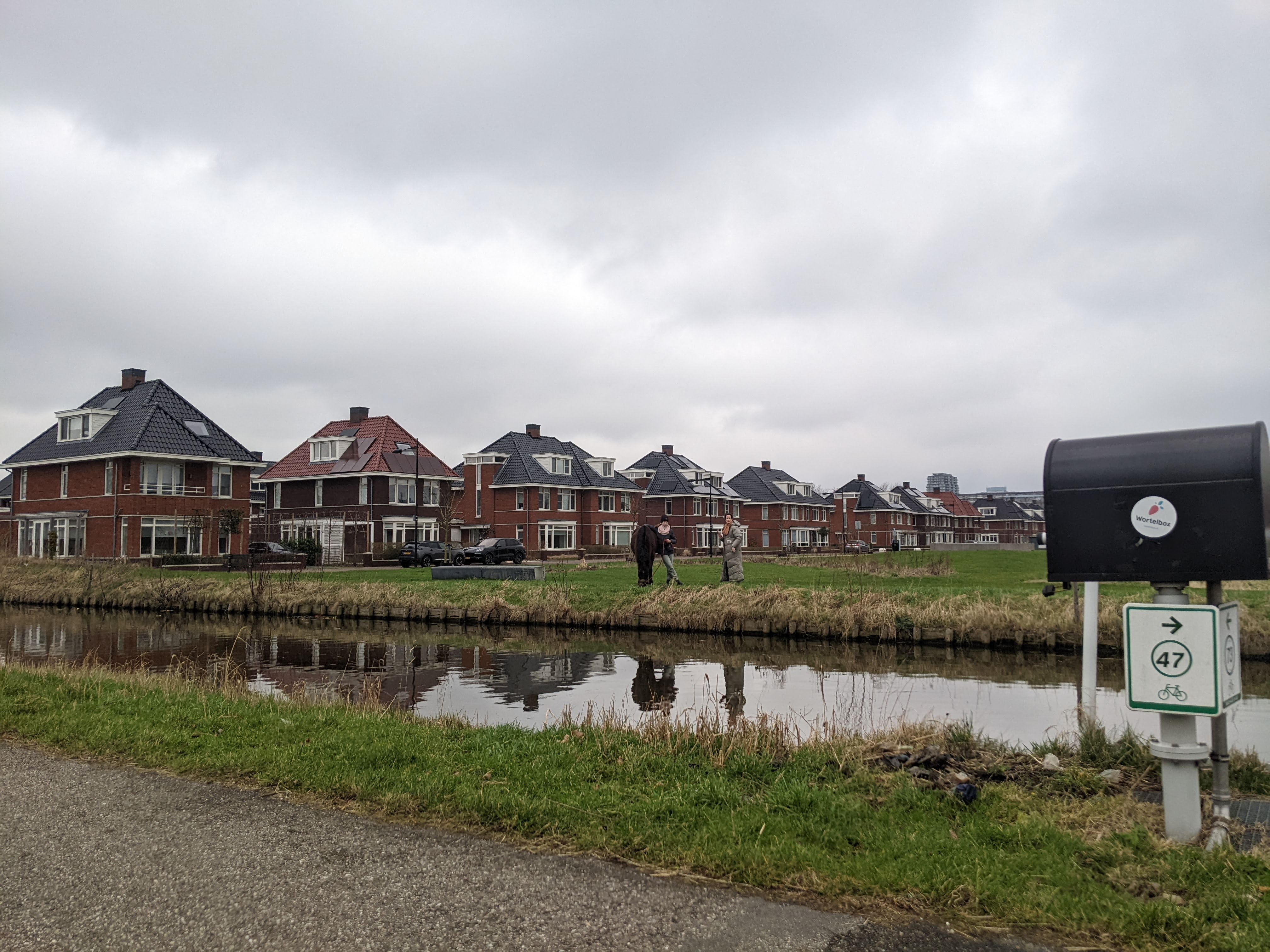 a horse in the suburbs