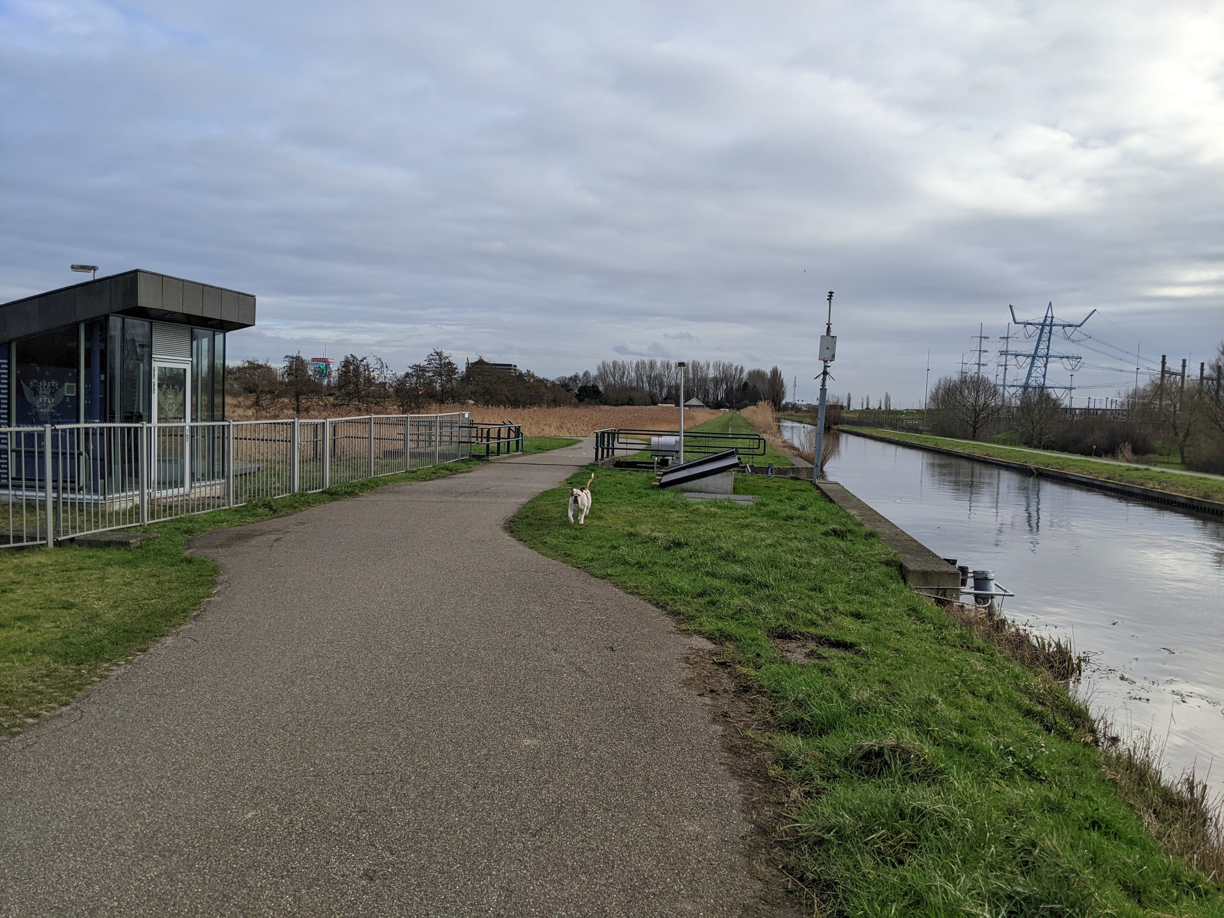 canal, dog, windmill, pumping station, flat, bike path
