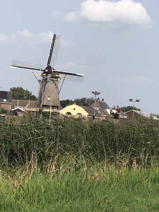 A windmill in nootdorp